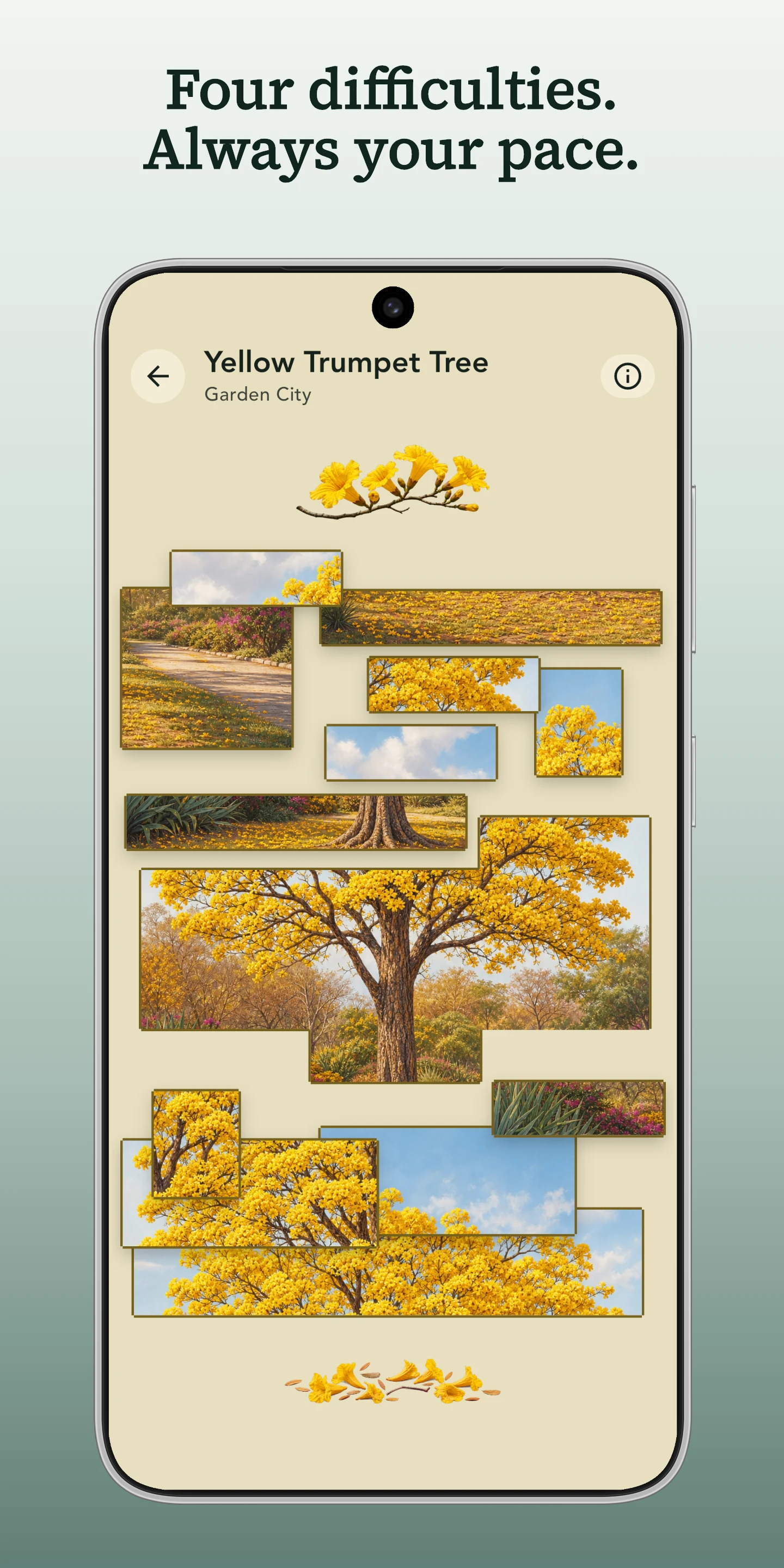 Grove: Botanical Art Puzzles screenshot