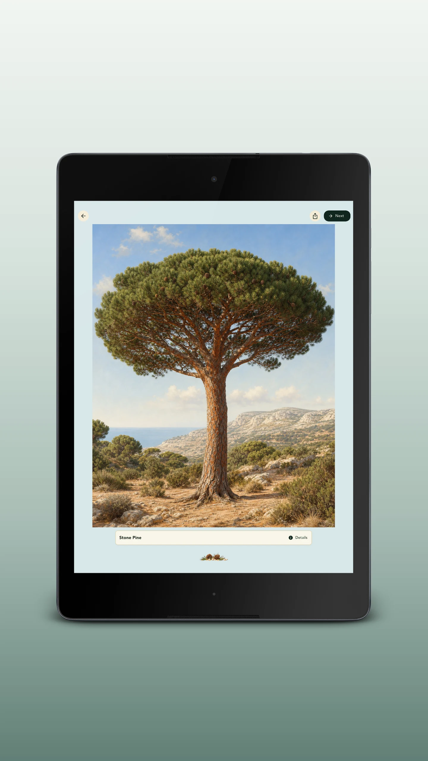 Grove: Botanical Art Puzzles screenshot