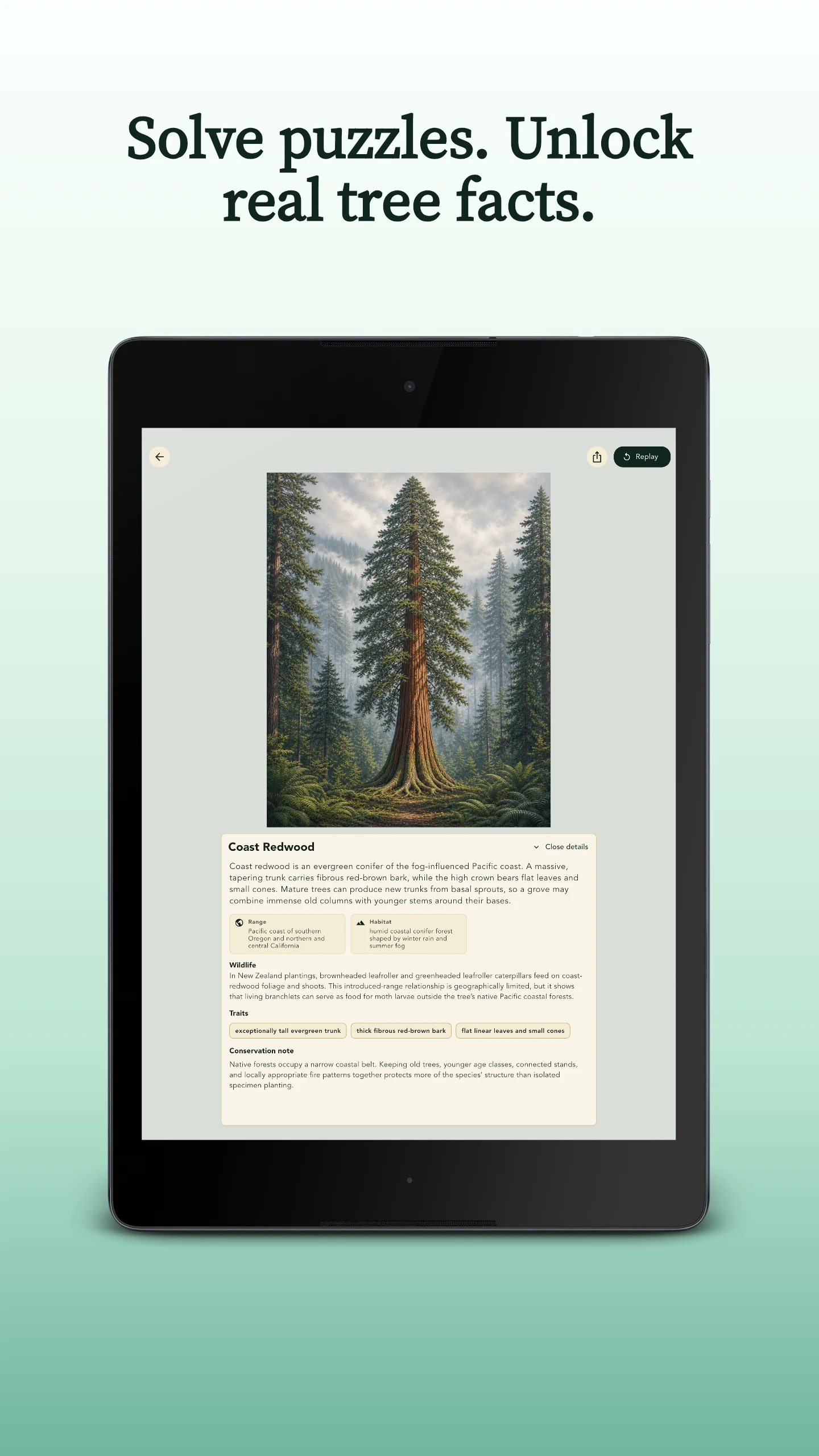 Grove: Botanical Art Puzzles screenshot