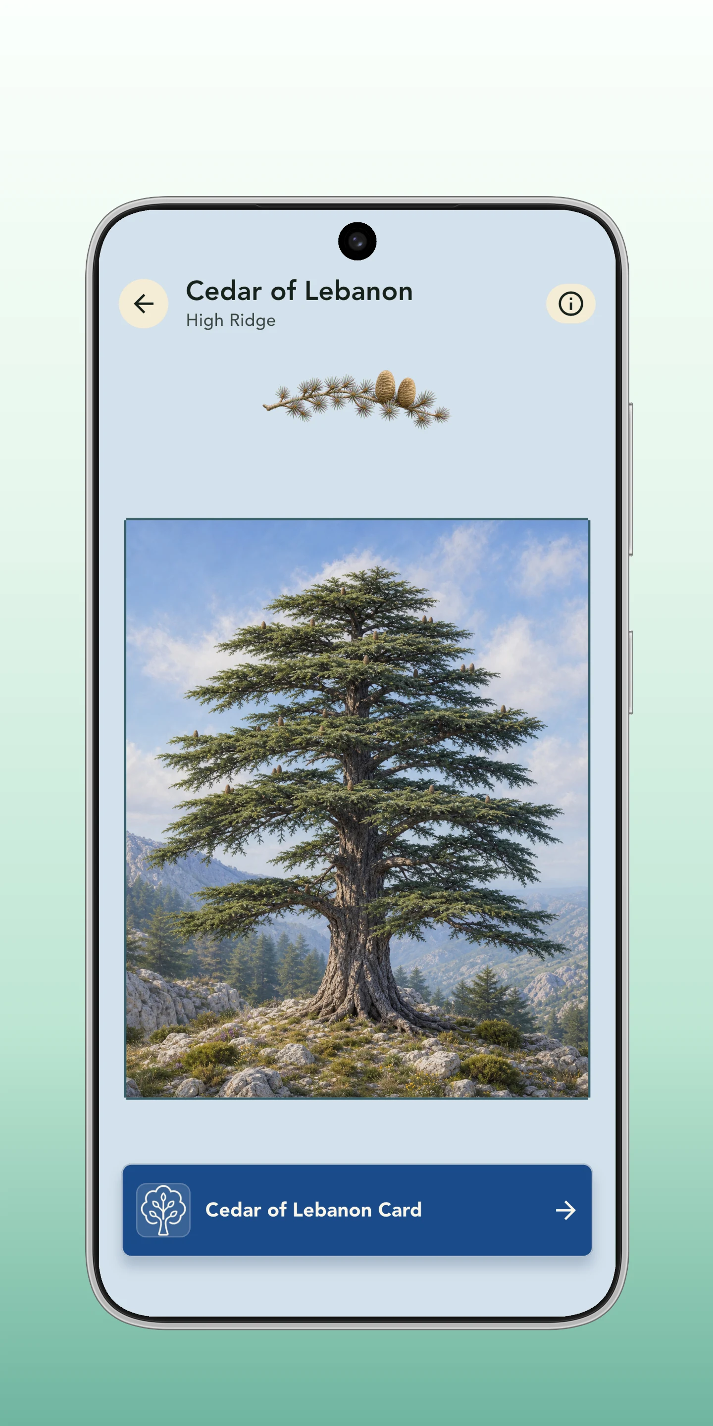 Grove: Botanical Art Puzzles screenshot