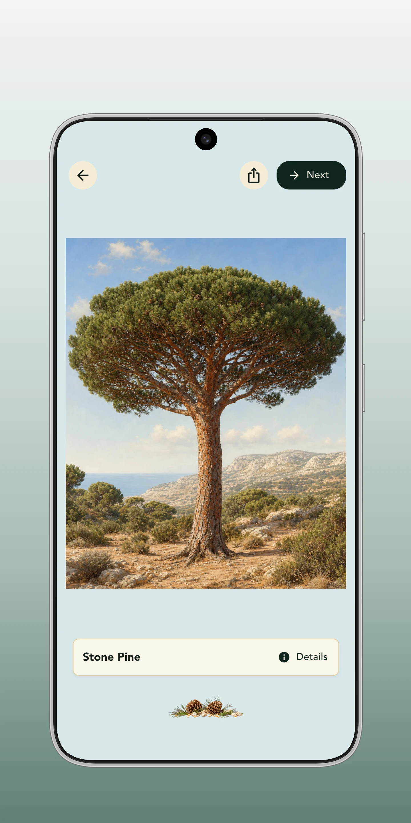 Grove: Botanical Art Puzzles screenshot