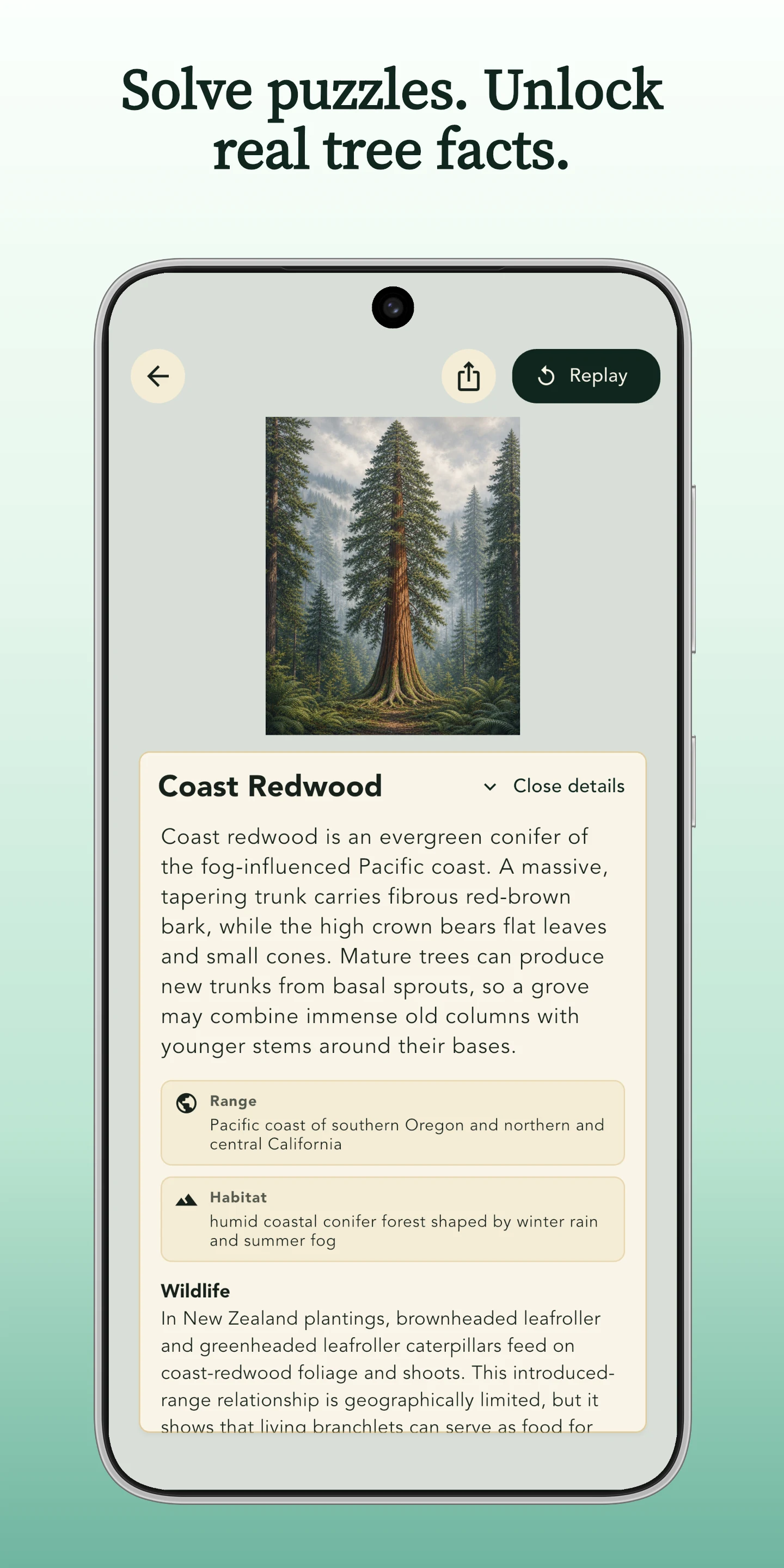 Grove: Botanical Art Puzzles screenshot